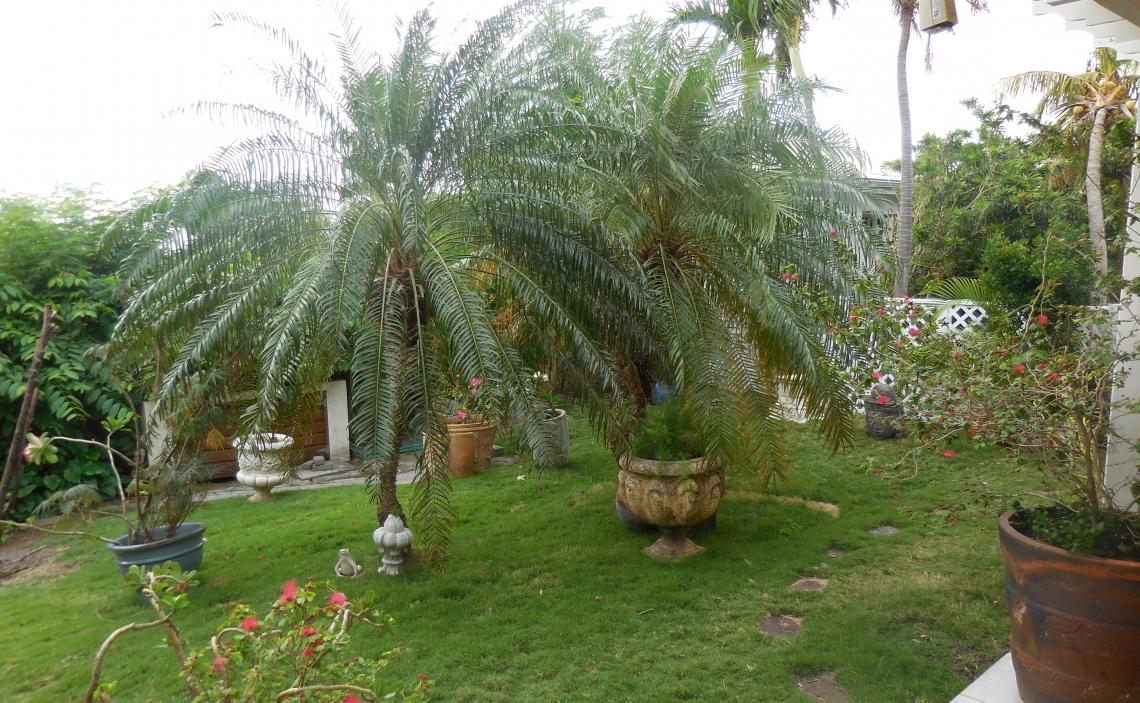 beautifully landscaped garden Villa Daron Almond Grove