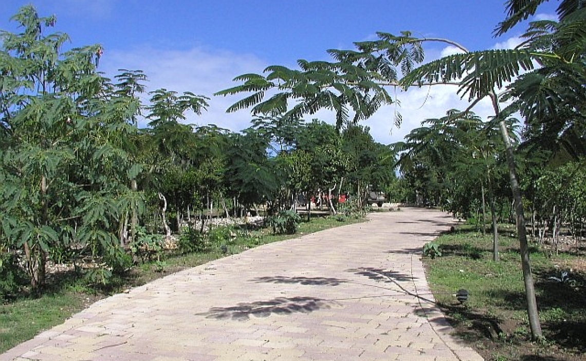 Driveway 