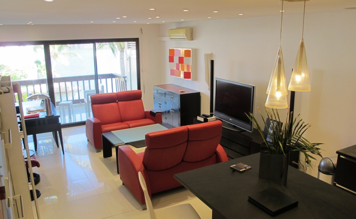 Kitchen island and living area