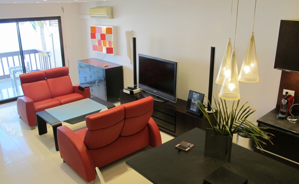 Kitchen island and living area