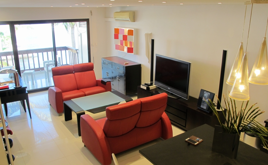 Kitchen island and living area