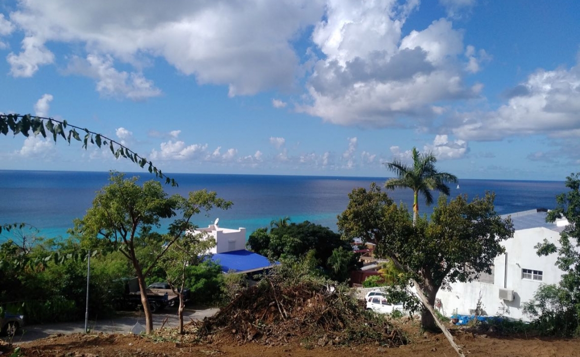 Land pelican  key st maarten 