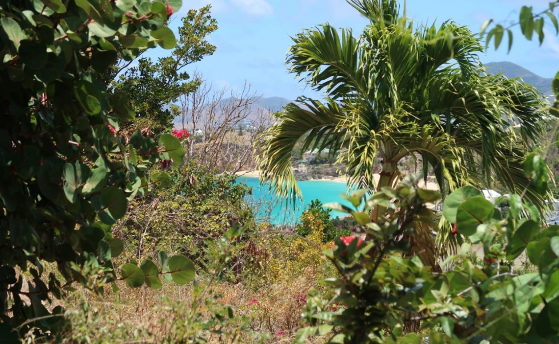 View of Baie Rouge