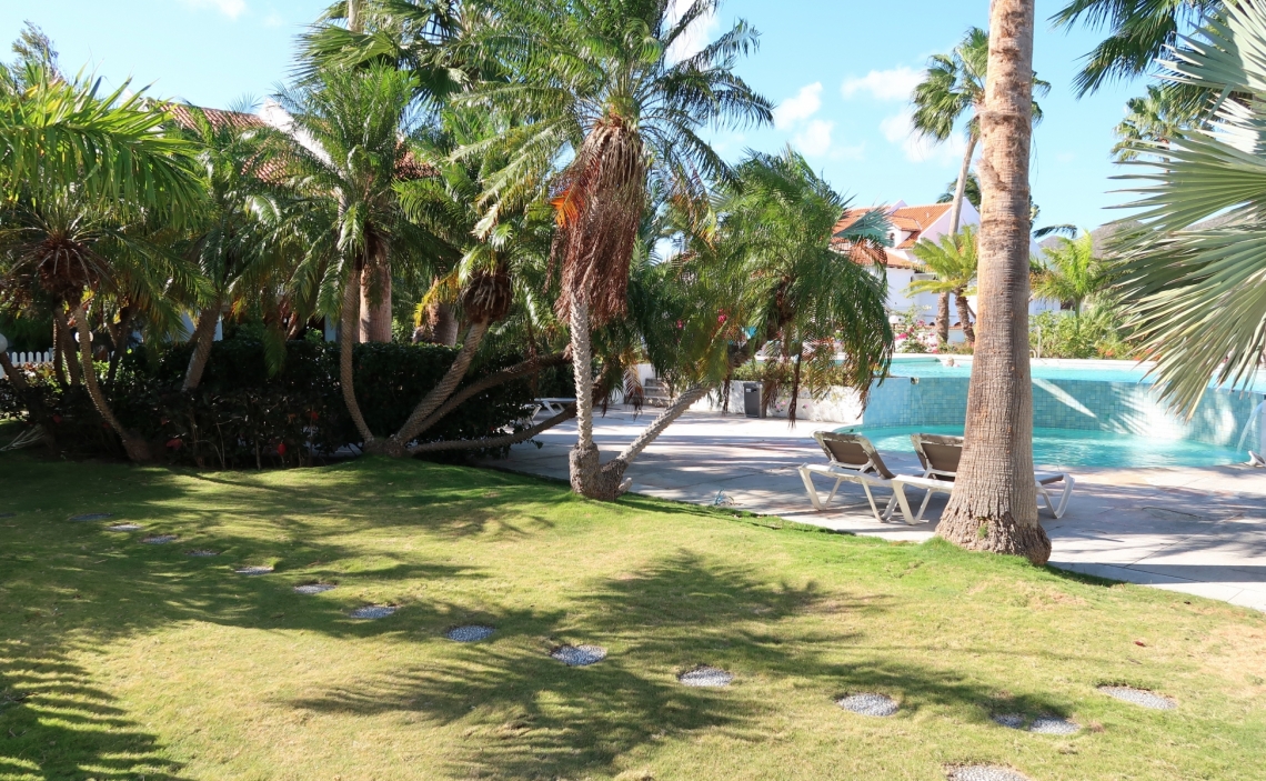 Garden and swimming pool