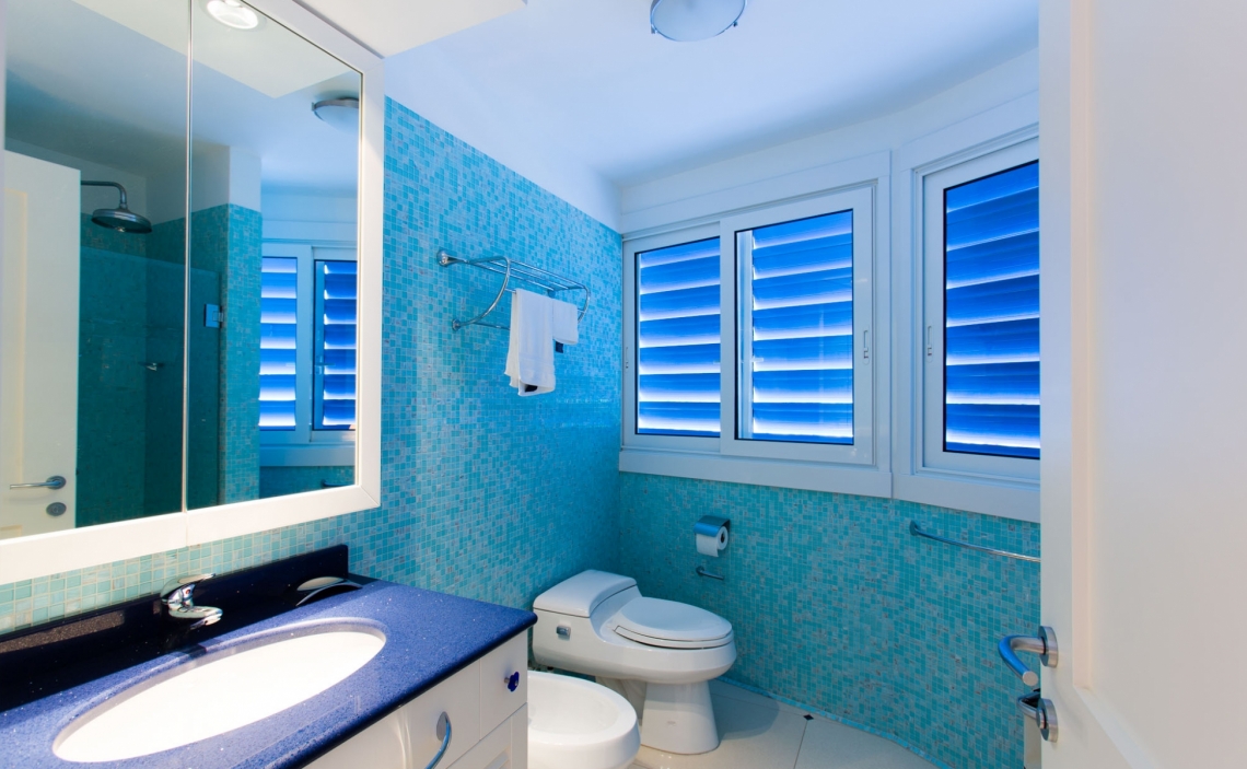 Bathroom Carousel Penthouse Simpson Bay St Maarten 